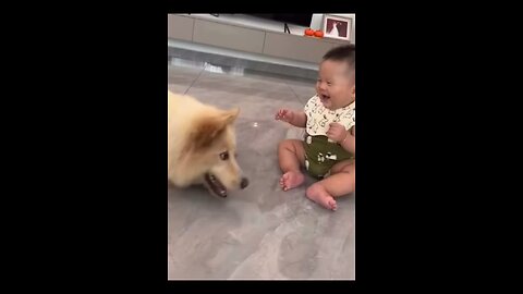 Funny videos🤣😂#3