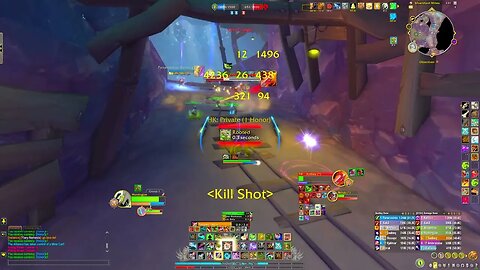 Marksmanship Hunter PvP - Dragonflight 10.1.5 World of Warcraft