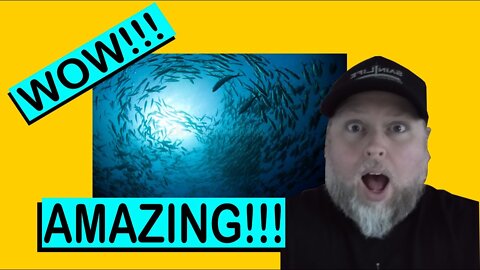 How to Fish Jesus style. And something Chilling S1 E5