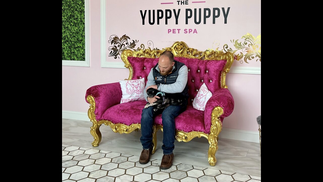 Dog Adoption, not concentrating on what age or breed you think they are but instead their energy!