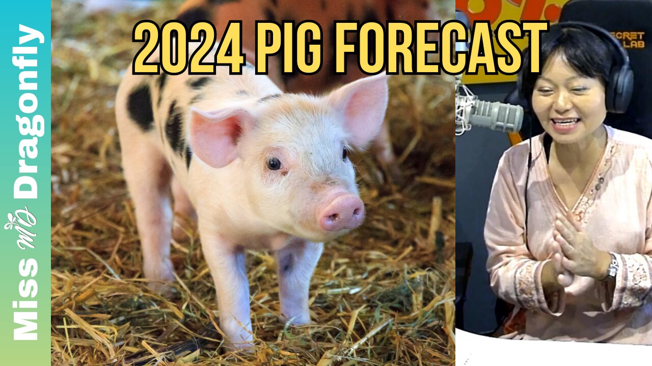 2024 Year Of The Dragon Zodiac Forecast | PIG