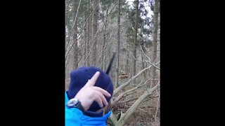 78LBS @28” SALUKI TURKISH BOW 3D ARCHERY LIGHT NOCKS