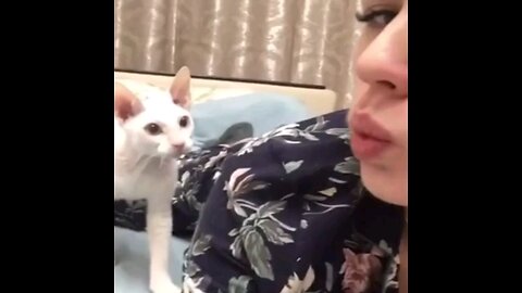 cat funny reaction video # # #