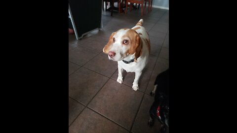 3 6 9 secret meaning