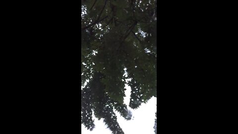 A Little Rain