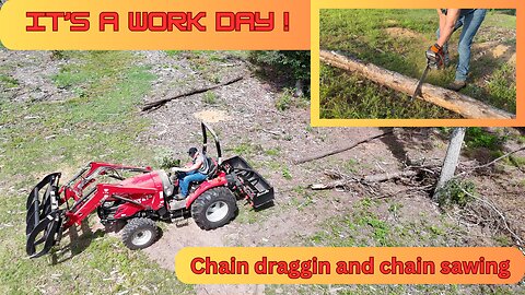 Chain Draggin trees out of the woods. Clearing forest on my land.