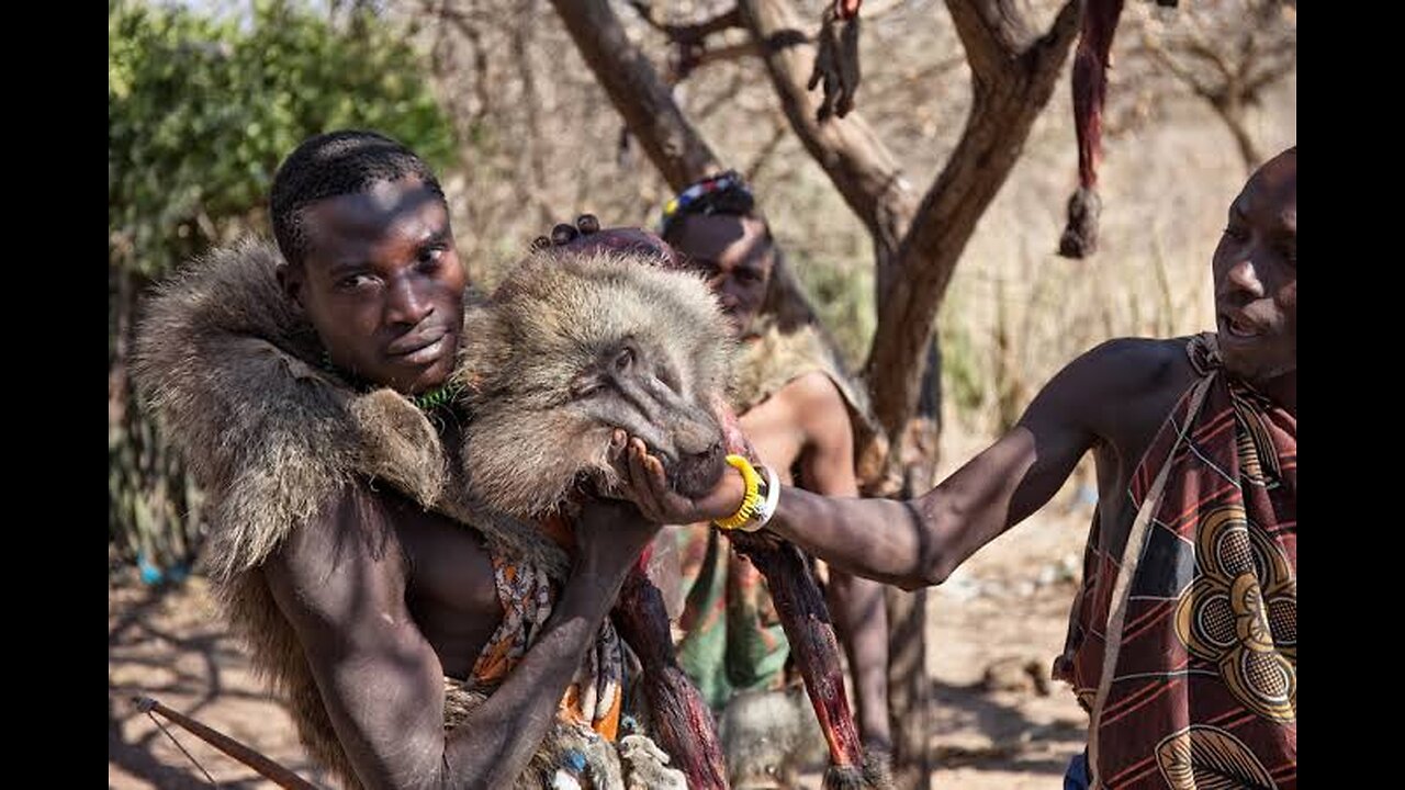 Hadza hunt morning and cooking breakfast in the forest