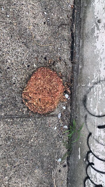 Who wants a little pavement pizza 🍕 lol.