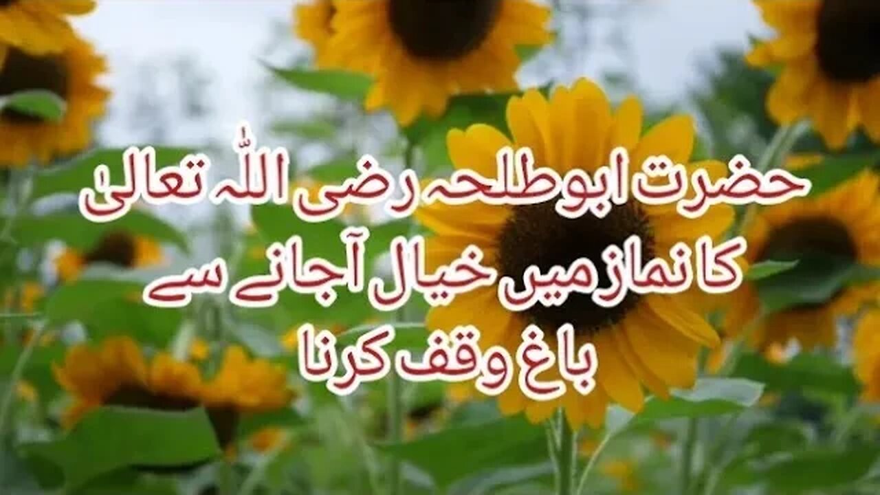 Fazail-e-Namaz | Hazrt Abutalha ki Namaz | Namaz k Fazail | Sahaba ki Namaz | Islamic Video | Islam