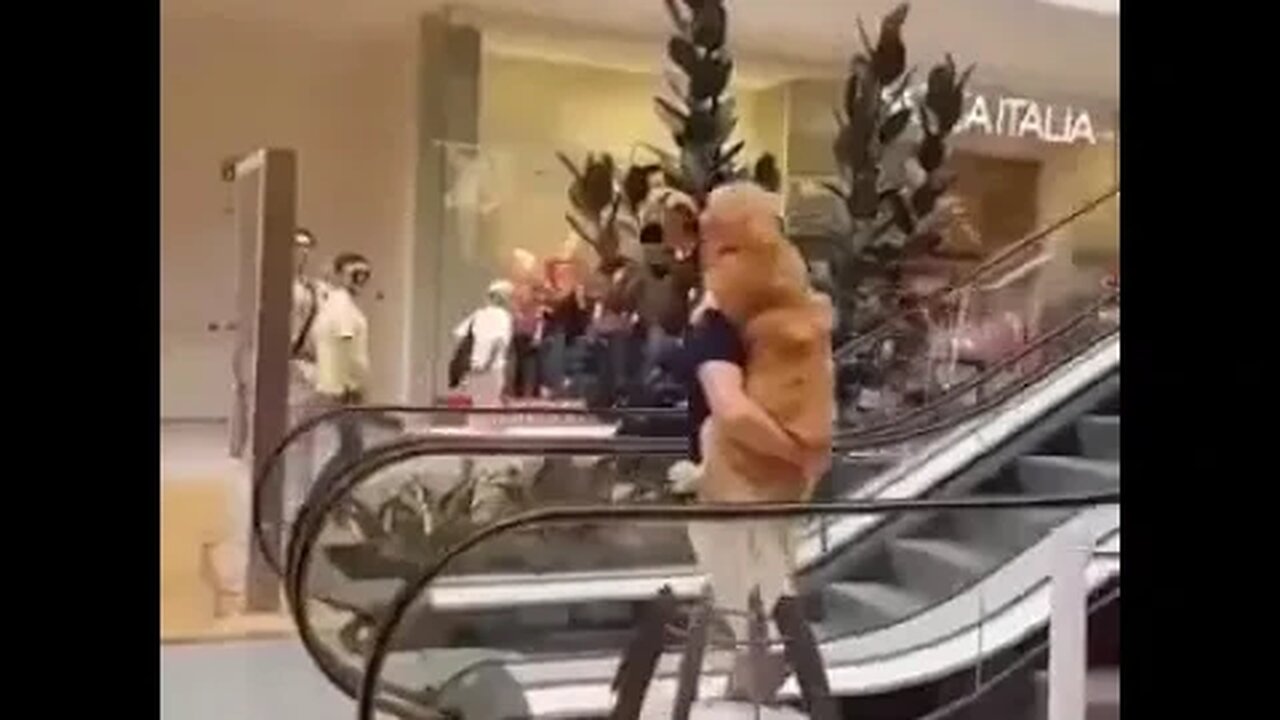 Things we do for our beloved pets