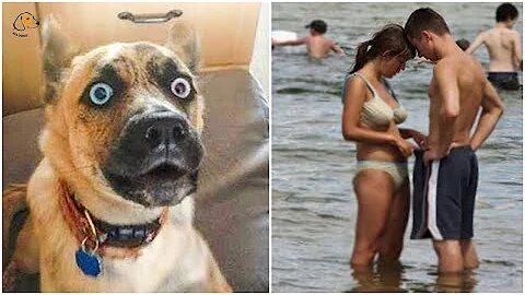 Best Animals 🔴 2 Minutes of Funny Cats and Dogs Videos 2022! #2