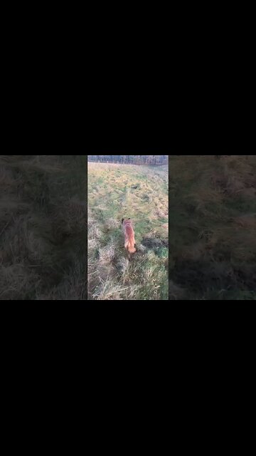 Eccup Reservoir to Emmerdale Film set near Harewood House