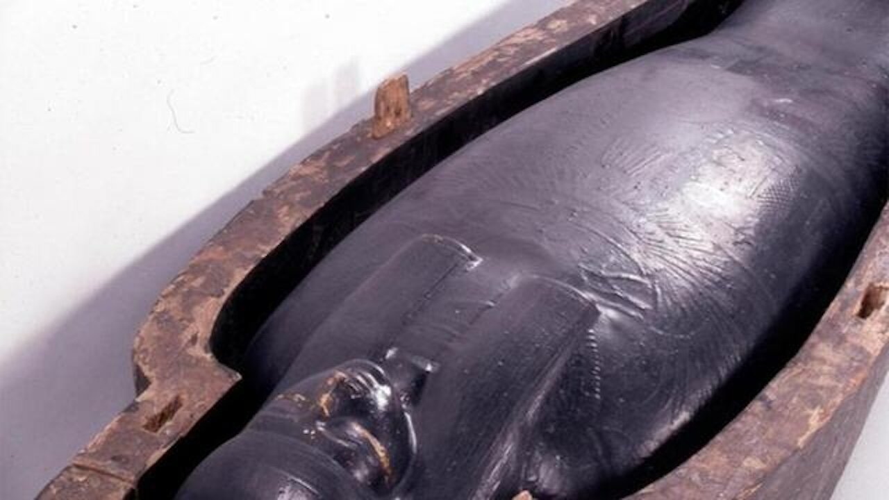 Black Goo and Monkey Pox Lockdown's 2024 | RFB