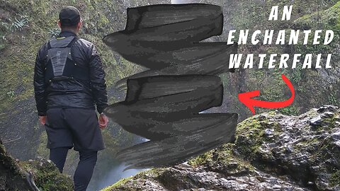 See a FAIRYLAND FOREST plus WATERFALL in the Pacific Northwest | Wahclella Falls | Oregon