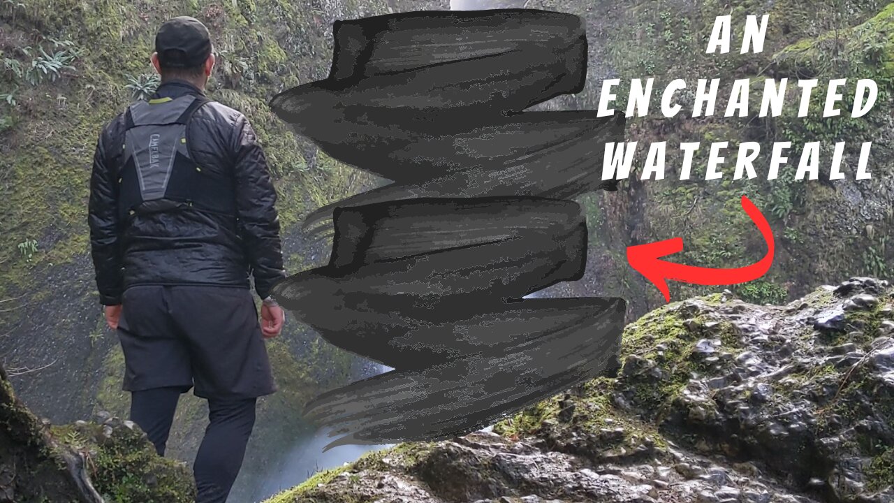 See a FAIRYLAND FOREST plus WATERFALL in the Pacific Northwest | Wahclella Falls | Oregon