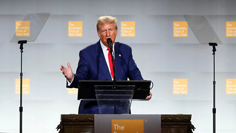 Donald Trump Pledges Government Efficiency Commission Following Elon Musk's Suggestion