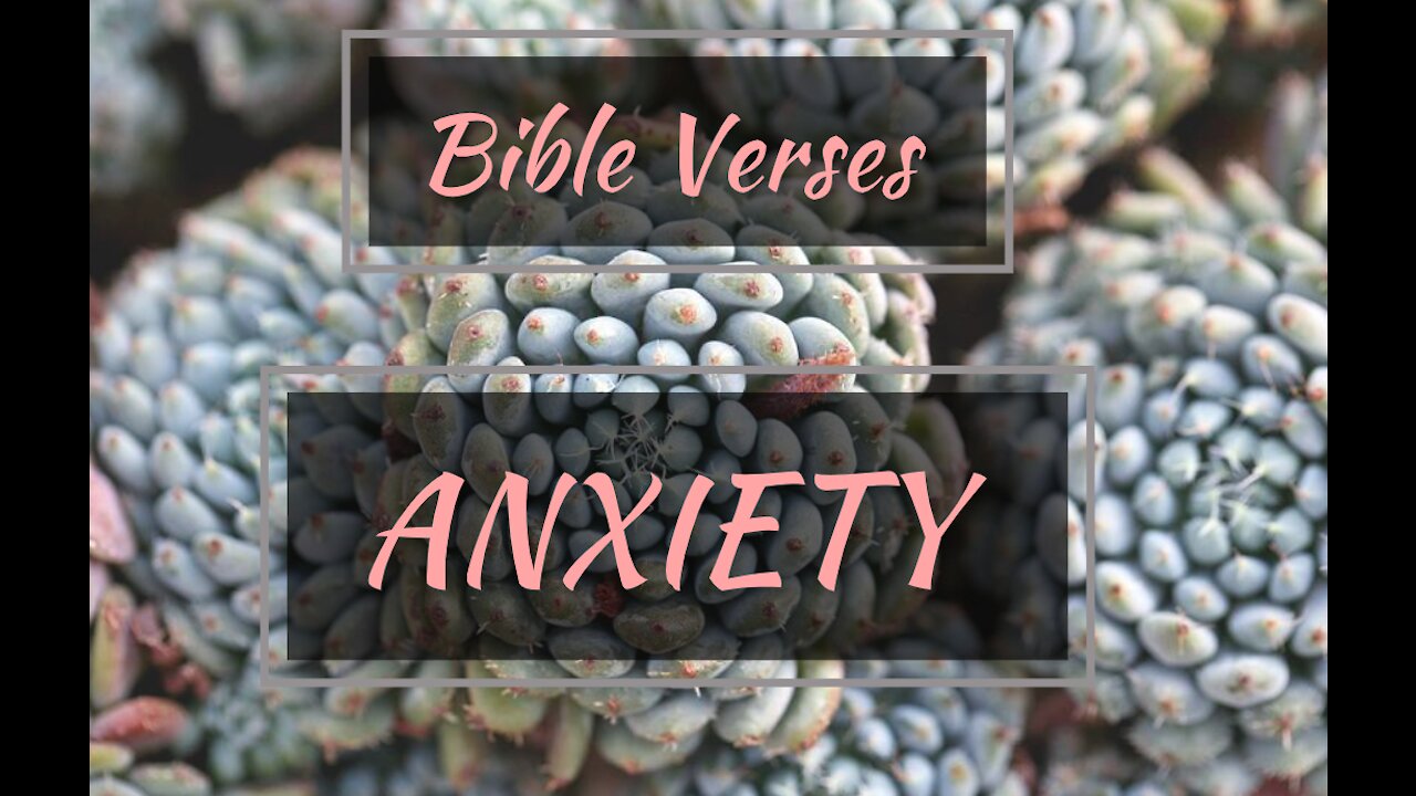 8 Bible verses for ANXIETY PART 4 //scriptures for anxiety and fear//Bible anxiety and worry