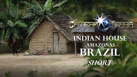 🌎 Indian House In Amazonas #short |2021
