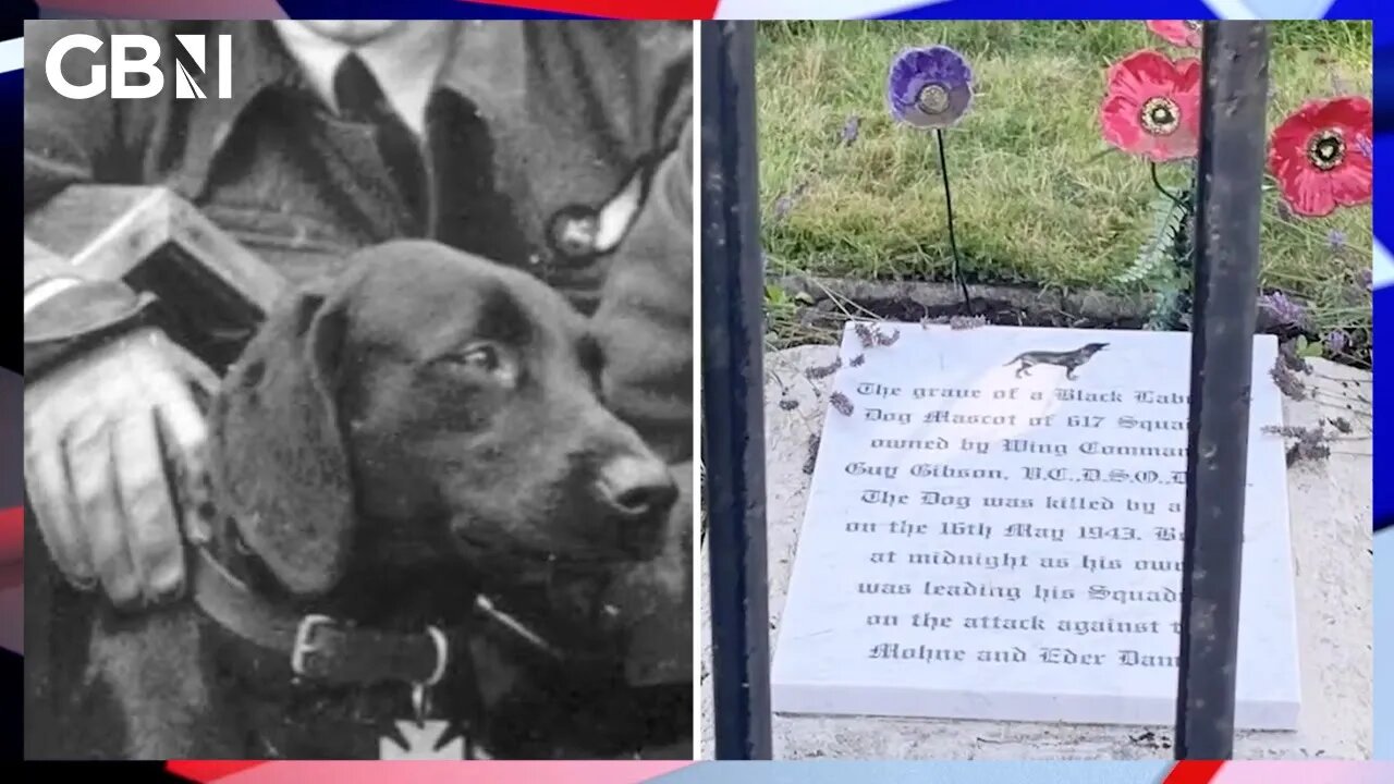 RAF fear they cannot protect Dambusters dog grave when asylum seekers move in