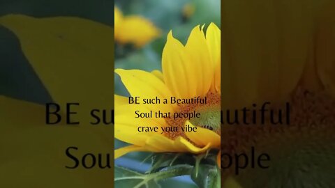 Beautiful Soul