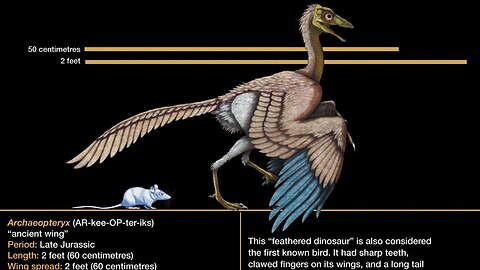 Dinosaur! (1991) | Episode 04: The Tale of a Feather