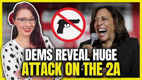 Dems Reveal Huge Attack on 2nd Amendment
