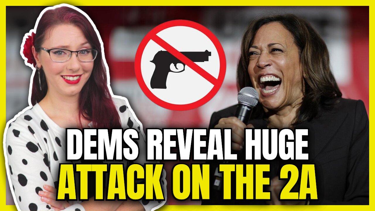 Dems Reveal Huge Attack on 2nd Amendment