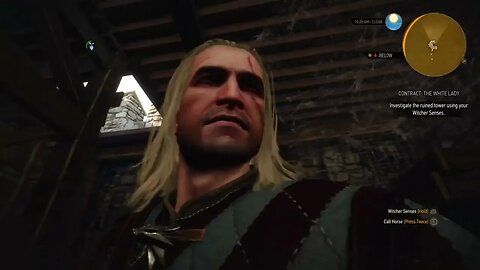 Witcher 3: Wild Hunt playthrough part 19