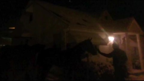 15 racehorses run wild on city streets after man releases them from the Stark County Fairgrounds