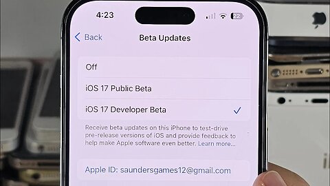 How To Enable iOS Developer Beta on iPhone or iPad