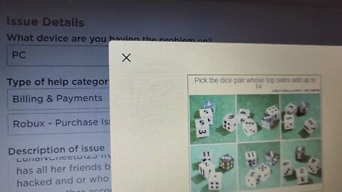 Roblox Security questions are a joke!