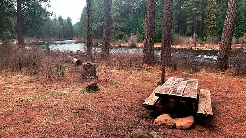 Campsite #11, BEST CAMPSITE @ Allen Springs Campground! | Metolius River | Central Oregon | 4K