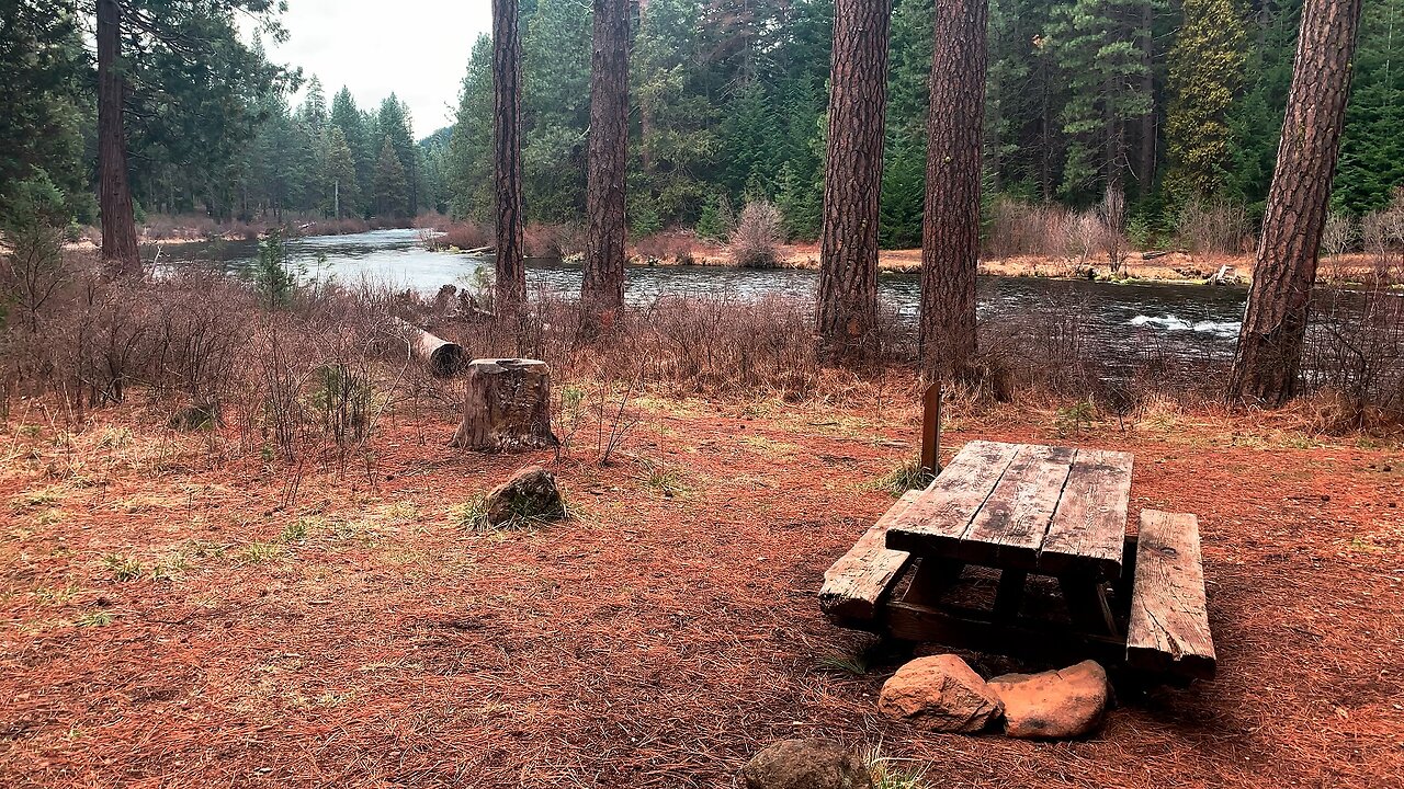 Campsite #11, BEST CAMPSITE @ Allen Springs Campground! | Metolius River | Central Oregon | 4K