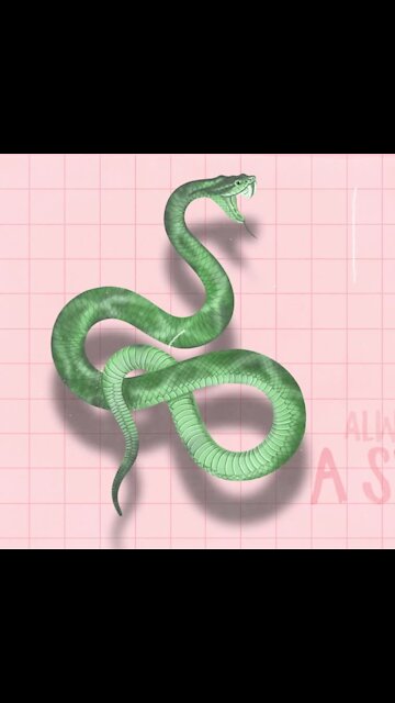 Snake Is Still A Snake [GMG Originals]