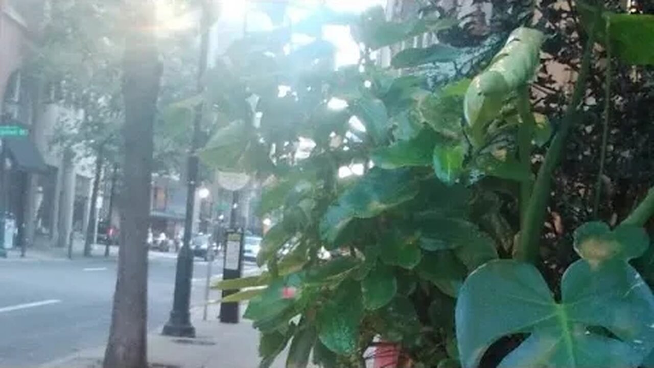 ASMR: Quiet Scooter Ride Towards Dog Walk Location π©πΎπ§