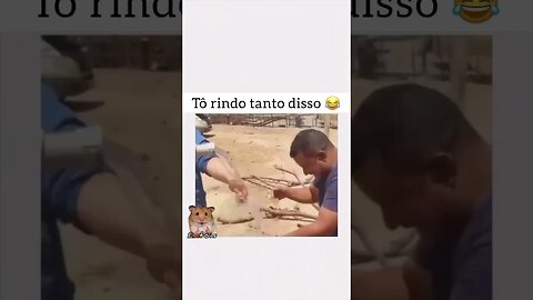 #shortsyoutube #prefeitos #nordeste #aguasuja #merda #rindomuito