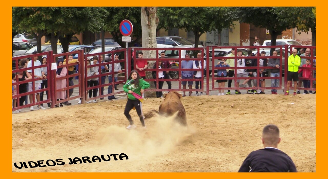 BARRIO DE SAN MIGUEL ( TARAZONA ) MATINAL VACAS PLAZA ( SABADO 24 SEPTIEMBRE 2022 ) MERINO