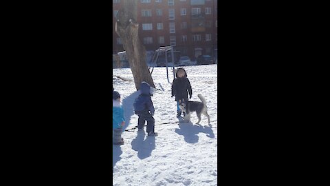 Children and husky