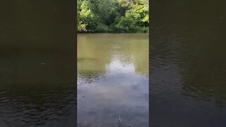 pretty river.
