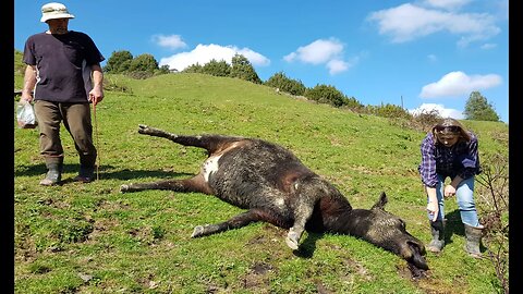 Waikato Regional Council, EPA, and Department of Conservation - investigation not independent