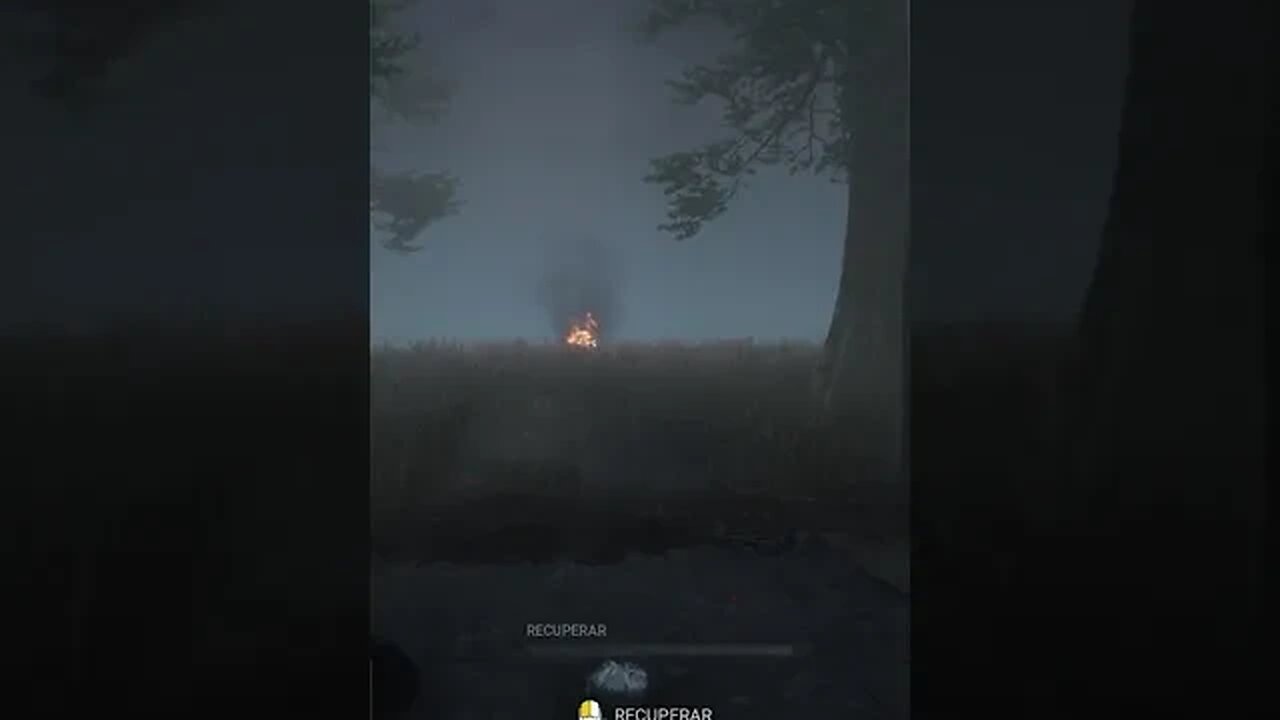 Caímos juntos, passamos juntos