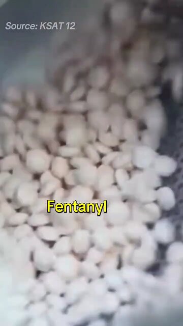 Opioid Overdose Epidemic