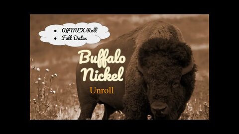 Buffalo Nickel Roll Hunt - APMEX Full Date Buffalo Nickel Unroll - 2/12/2022