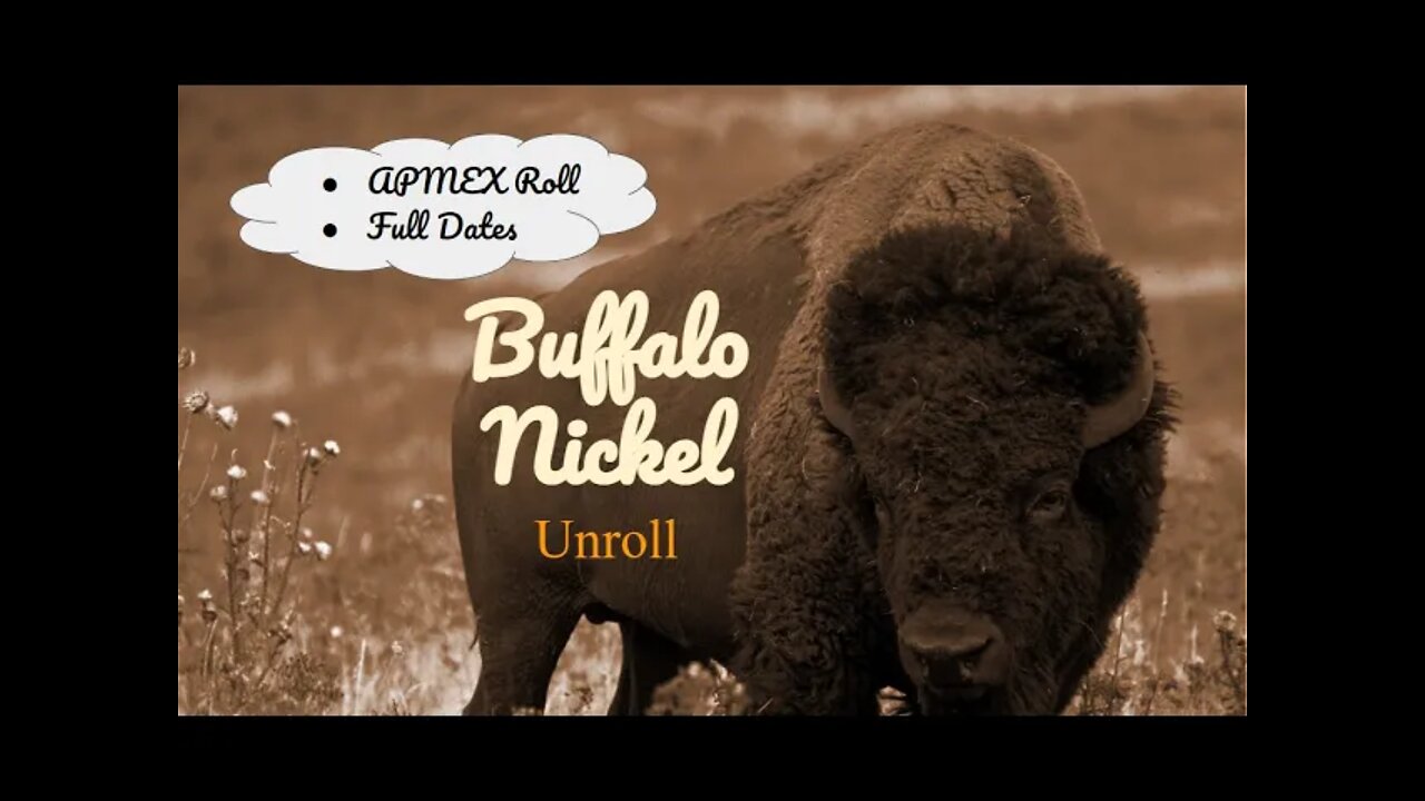 Buffalo Nickel Roll Hunt - APMEX Full Date Buffalo Nickel Unroll - 2/12/2022