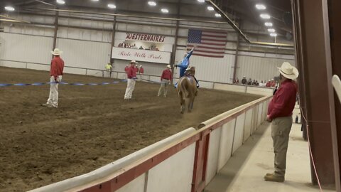 Beastie looked great tonight in White Division Trick