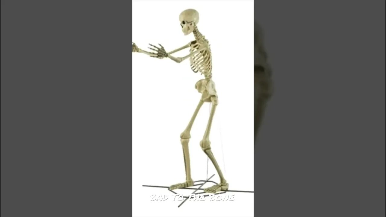 “Bad To The Bone” Bones