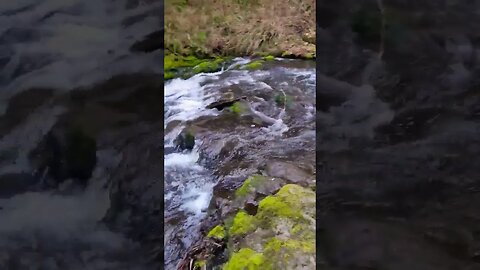 Hiking in British Columbia