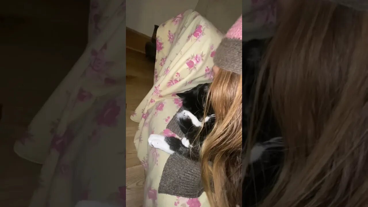 Sleepy Kitty #cat loves 2 be woken up by mummy’s #kisses #shorts #catvideos