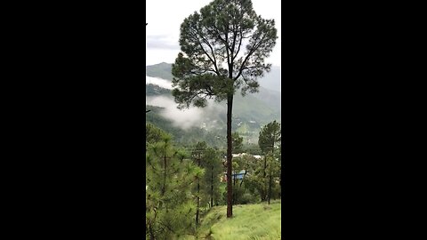 Northern Area’s Beautiful View 🥹🏞️✨