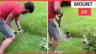 Bizzare lawn blister appears in couple's garden after heavy downpour in Yorkshire